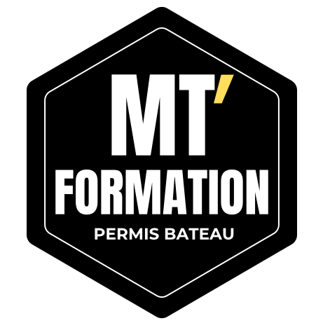 MT Formation